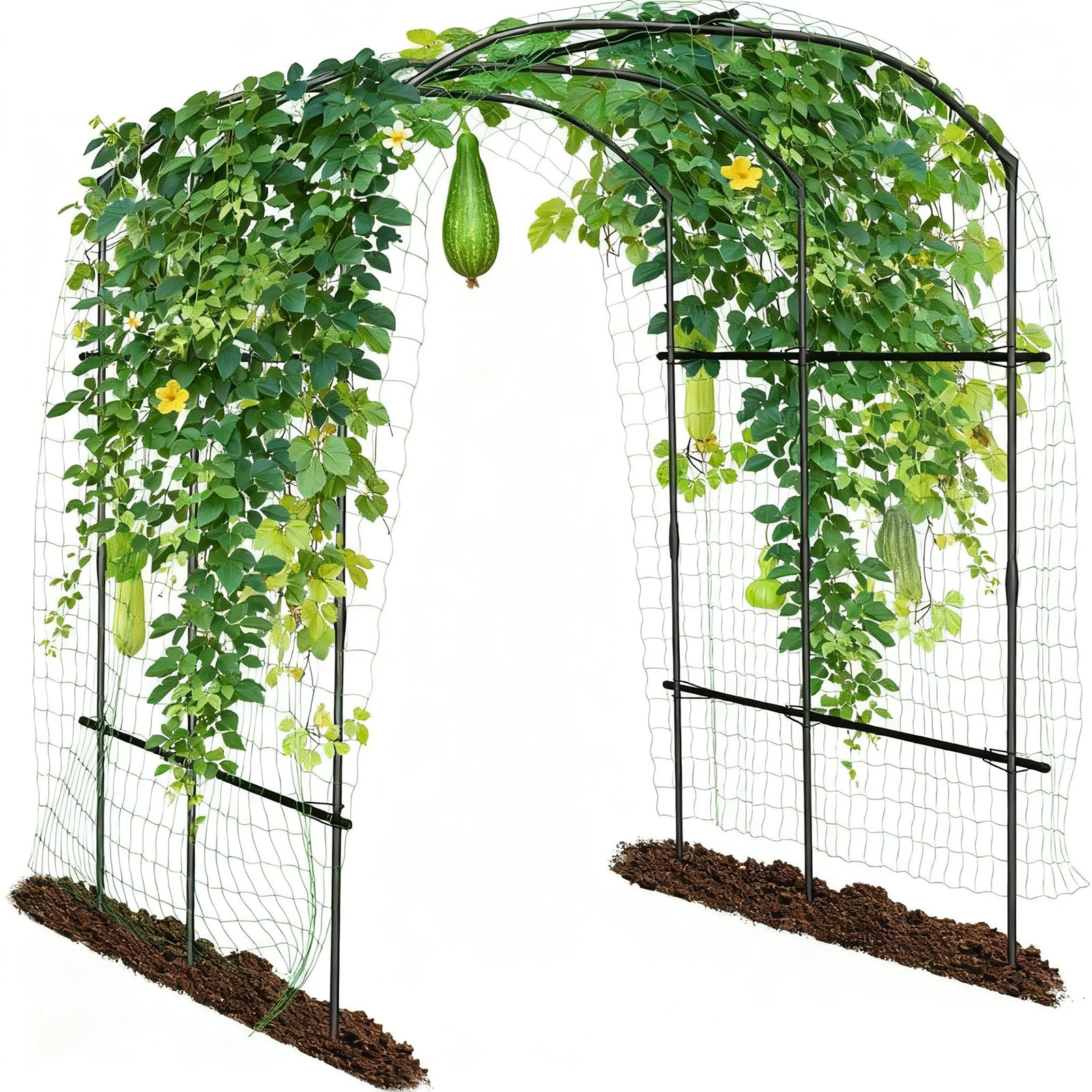 Garden Trellises