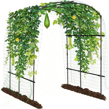 Garden Trellises