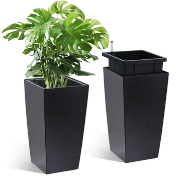 Plant Pots