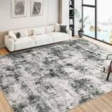 Garvee Washable Area Rug 4x6, Soft Abstract Rug for Bedroom Living Room, Low Pile Non-Slip Vintage Area Rug for Dining Room Office Playroom (Grey, 4'x6') - Grey