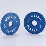 Garvee Fractional Weight Plates Set Rubber-Coated Change Plates For Gym Home 1.25LB-100LB Color-Coded - Blue-2X5 Lb