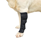 Garvee Canine Dog Hock Joint Support Brace Adjustable Pet Leg Braces Compression Wrap for Recovery Pain Relief - Black