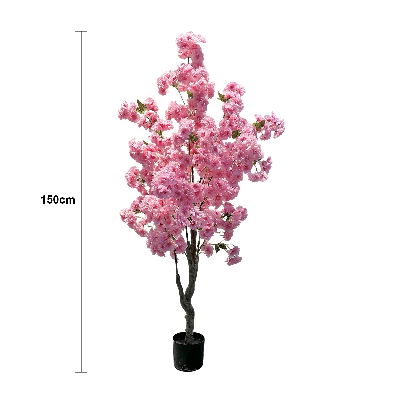 FQZOL_4443CM3Y