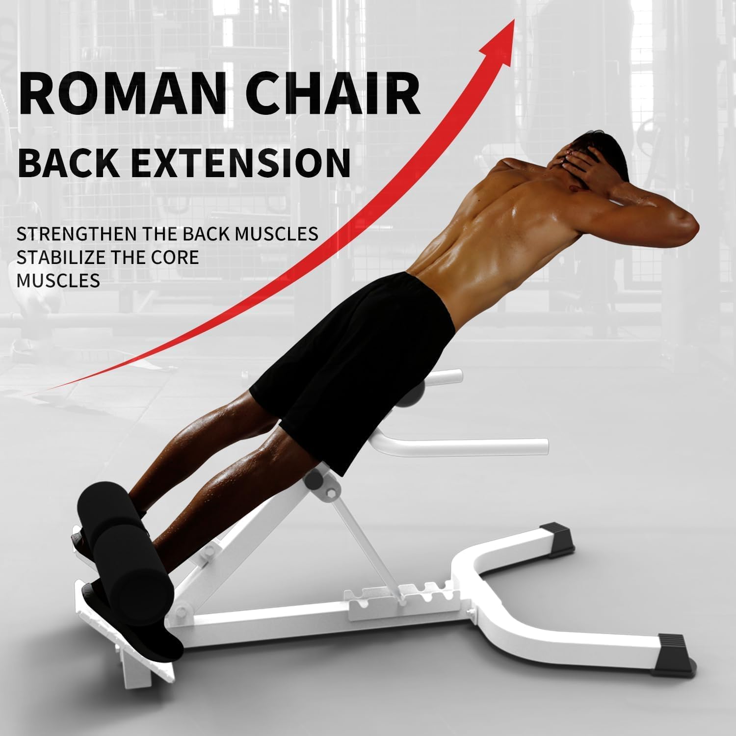 Roman chair used for back extension and core workouts