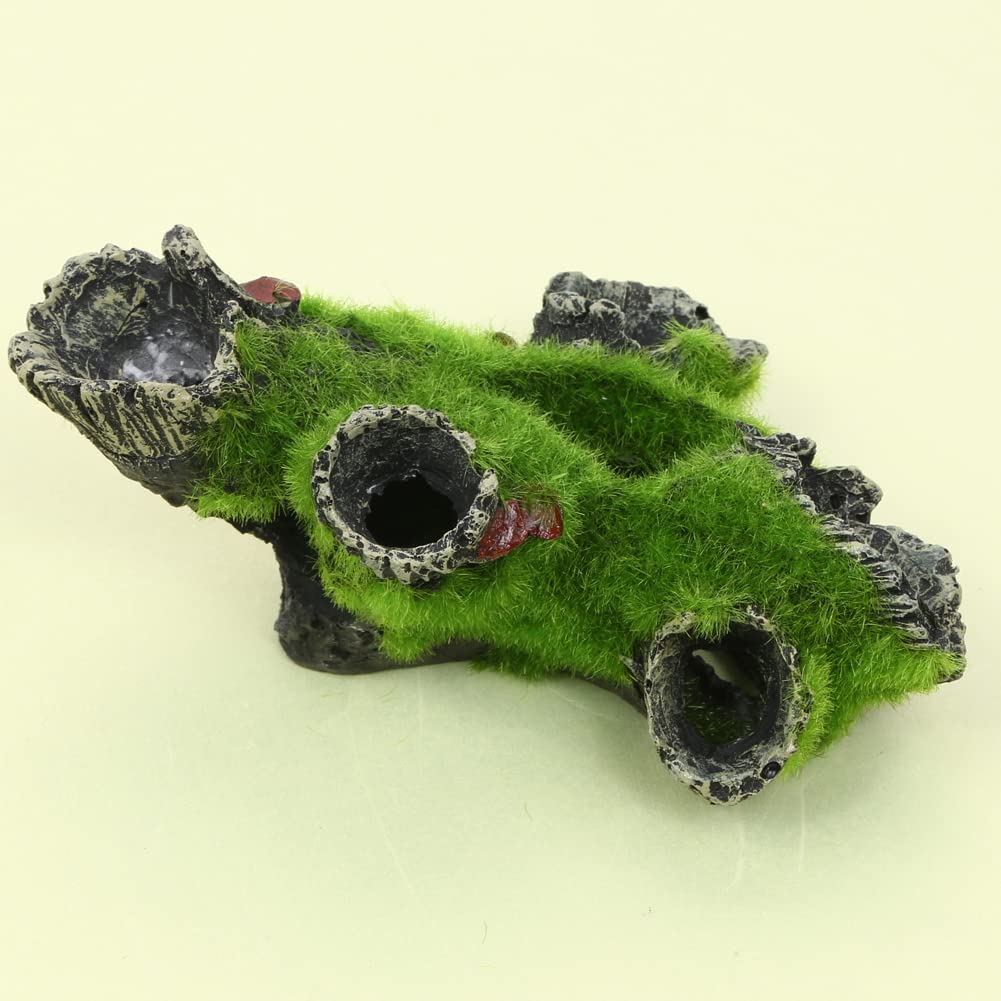 FQZPE_0DTTNJZO