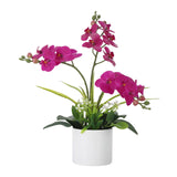 Garvee Real Touch Phalaenopsis Orchid in Pot with Vase for Indoor Home and Office Decor, Large Purple Faux Orchids, 3PCS - Purple