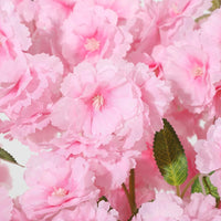PHK_36RDWDMG