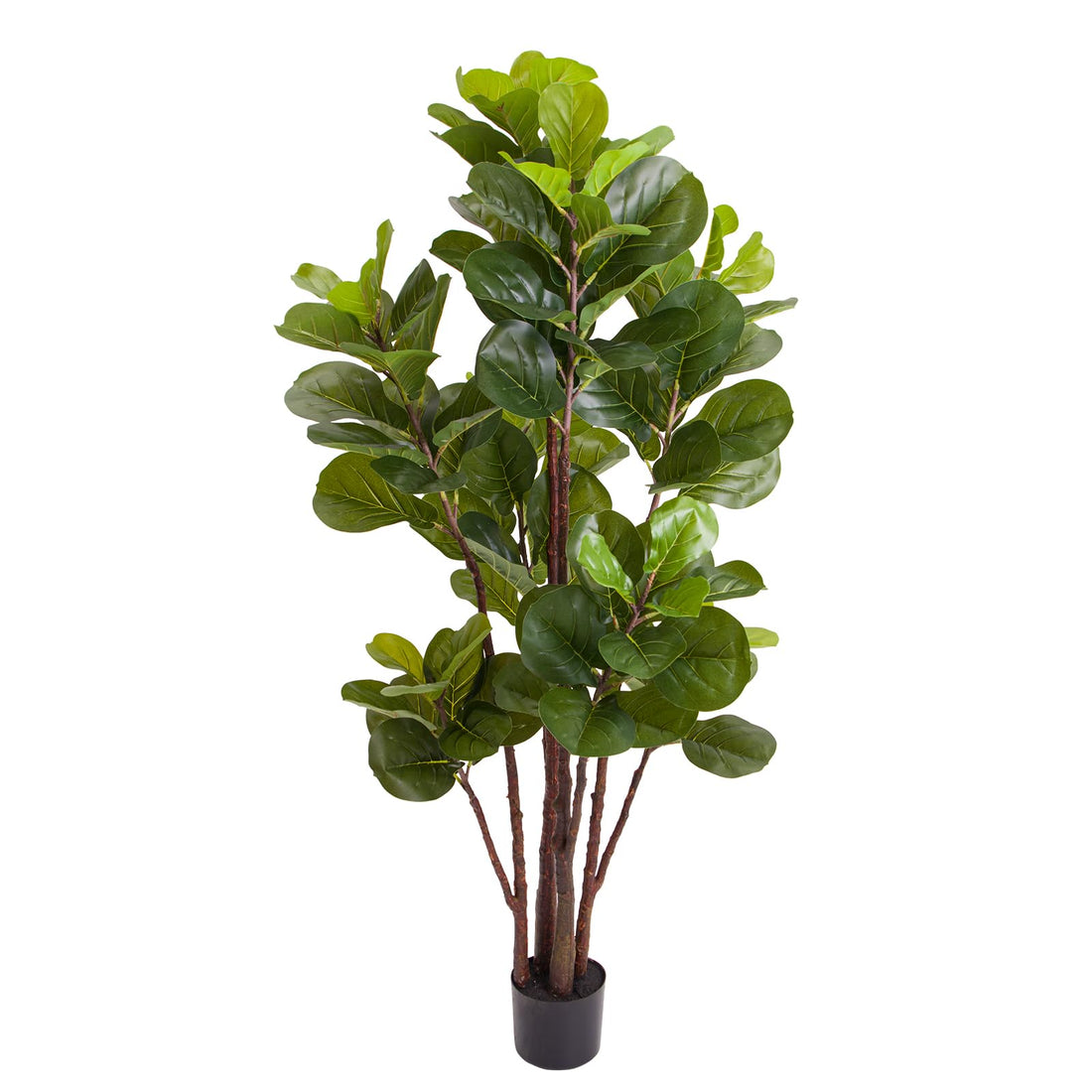 PHO_10PYGSFO