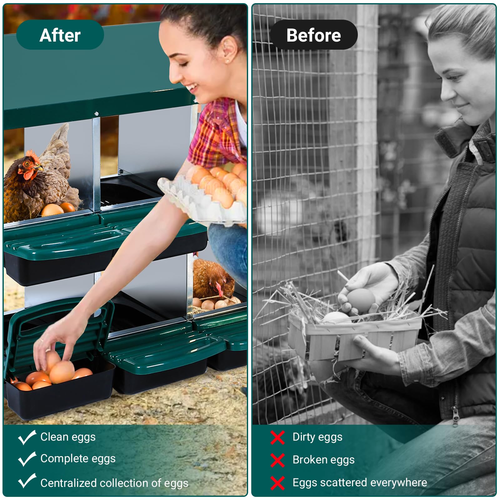 Roll-away egg collection box keeps eggs centralized and cleaner