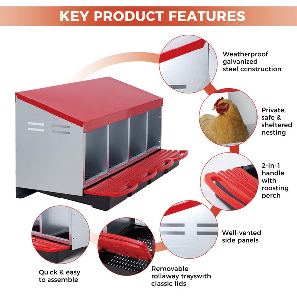 removable tray chicken nesting box