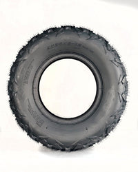 PAE_339WYCCI
