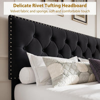 PHK_33FXJRF6