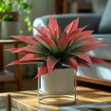 Garvee Artificial Tequila Plant with 22 Red Leaves, Durable Plastic Indoor Decoration for Home & Office Use - Rot