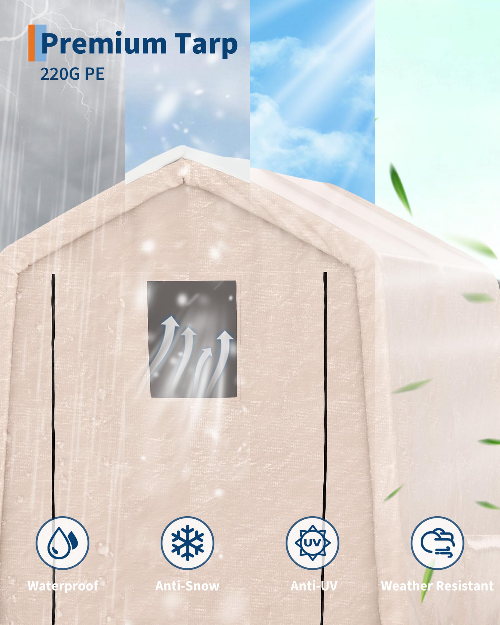 PPG_33AGF3B6