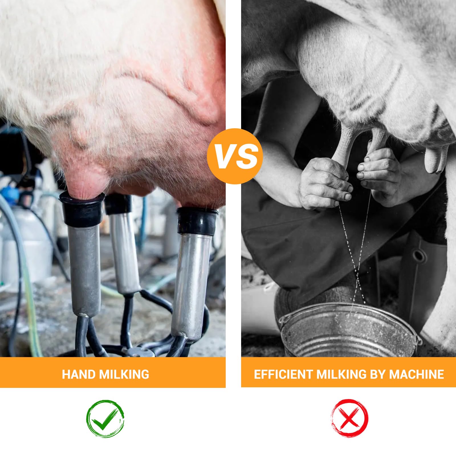 PIS_0134PL4A