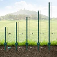PPG_336AFPM4