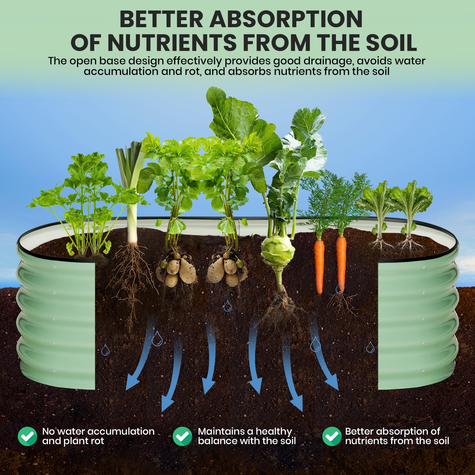 Green raised garden bed cross section showing open base drainage and root growth