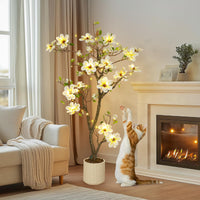 PHK_33YJ49X3