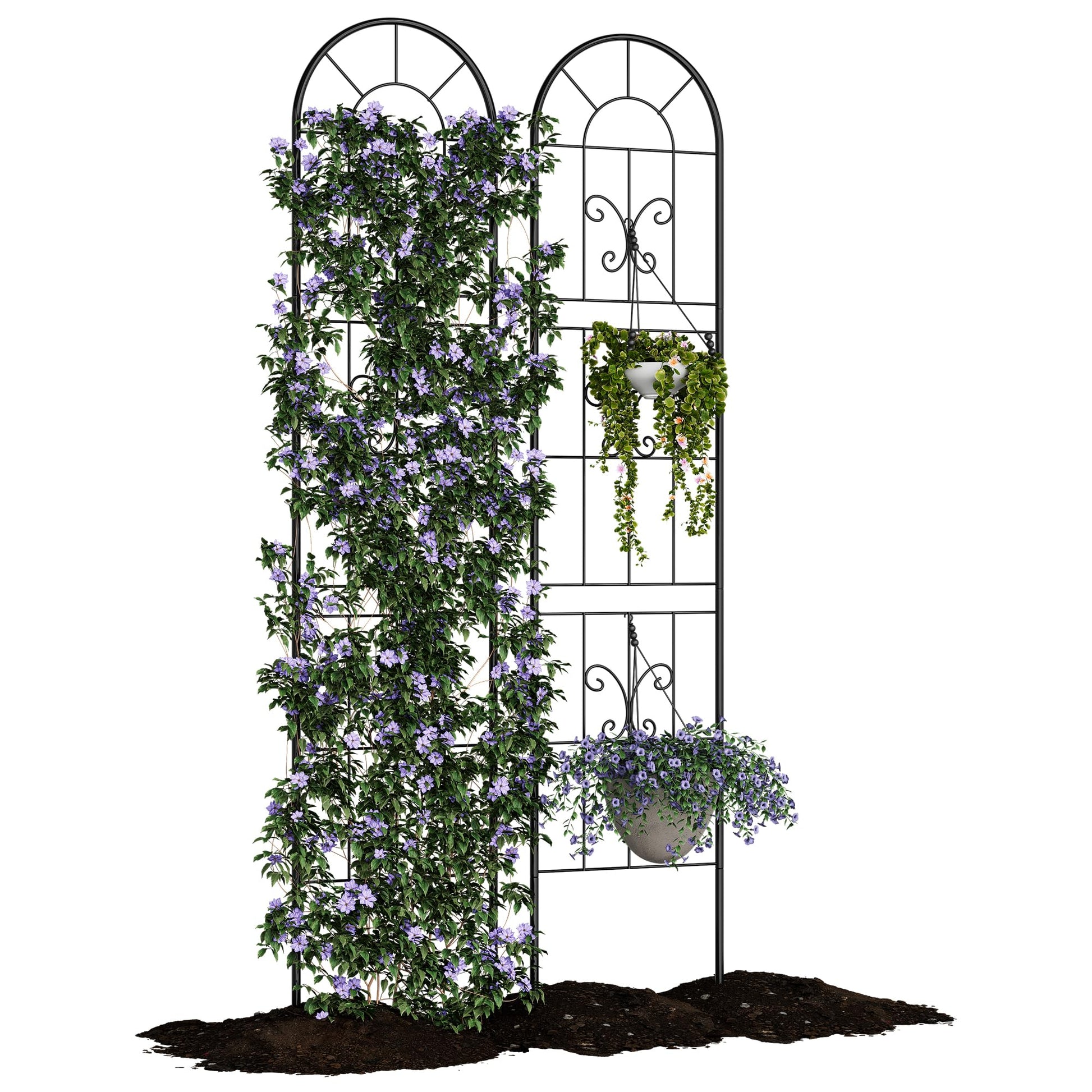 Decorative wrought iron scrollwork trellis