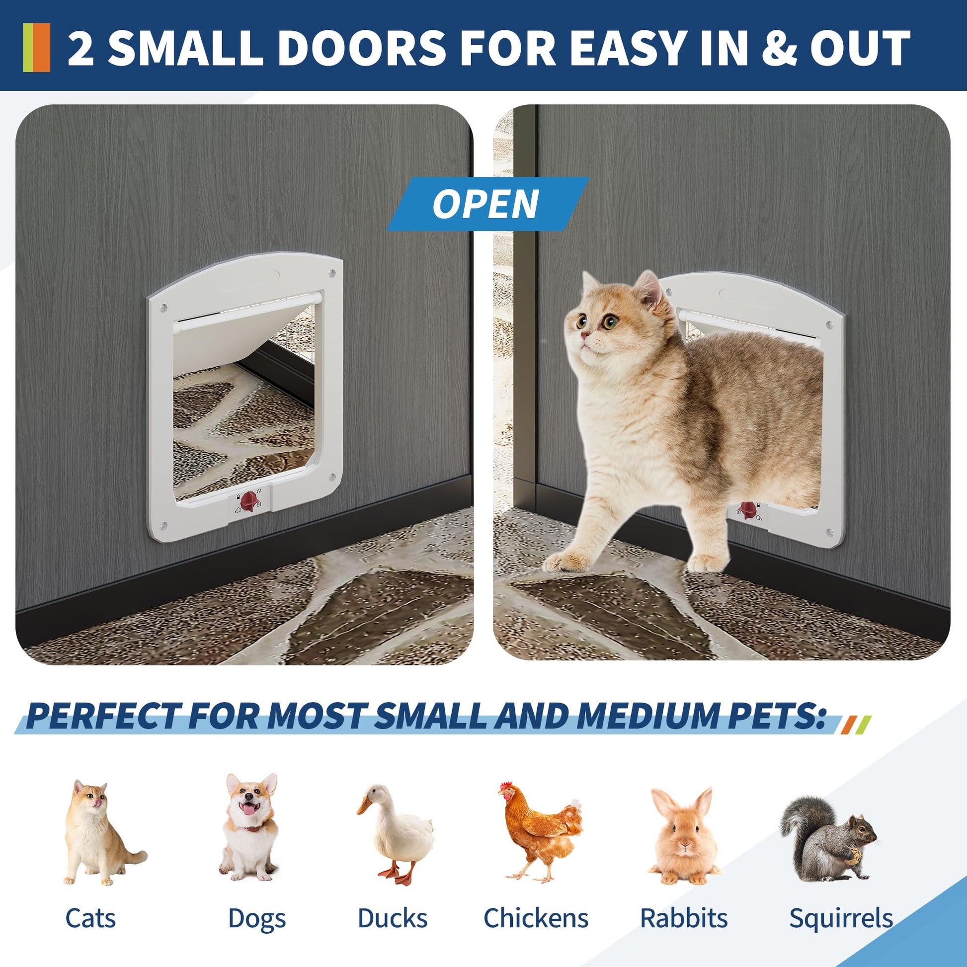 Two small pet doors on outdoor cat enclosure