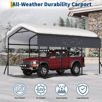 PPG_3483LCP8