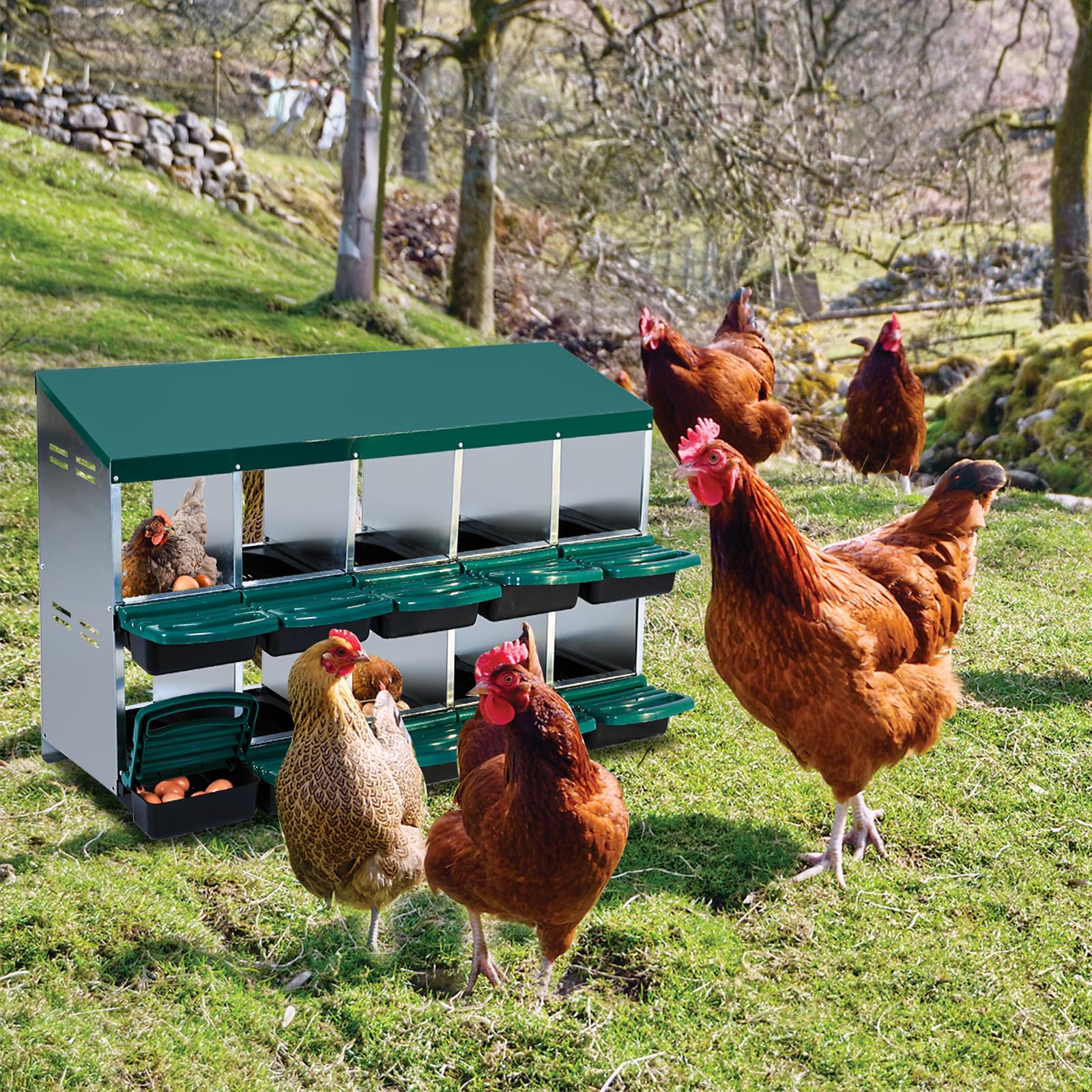 10-compartment chicken nesting box in a coop setting