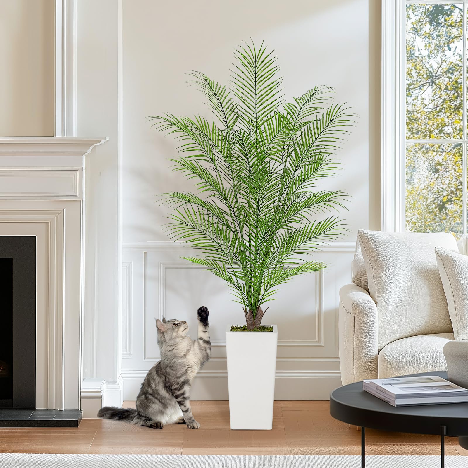 fiddle leaf fig trees for sale Ficus Fiddle Leaf Fig Standard main image 1