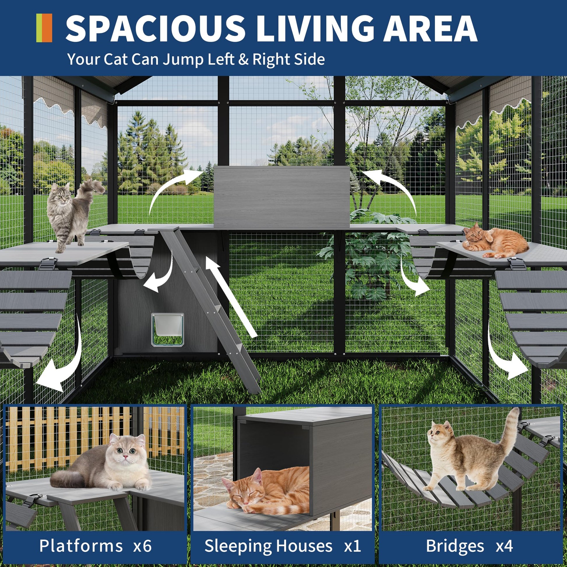 Multi-level platforms and bridges inside outdoor cat enclosure