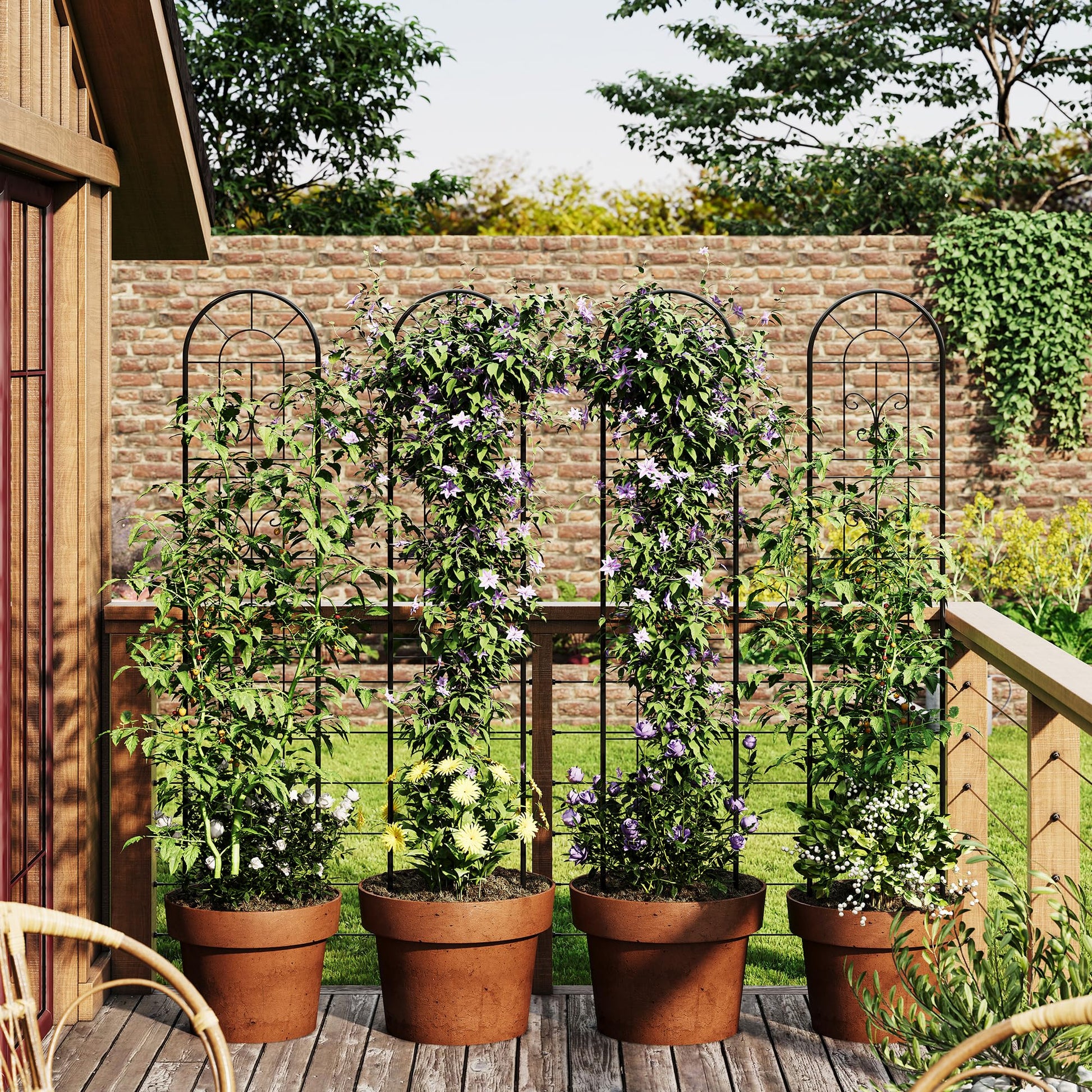 Balcony terrace trellis for climbing plants