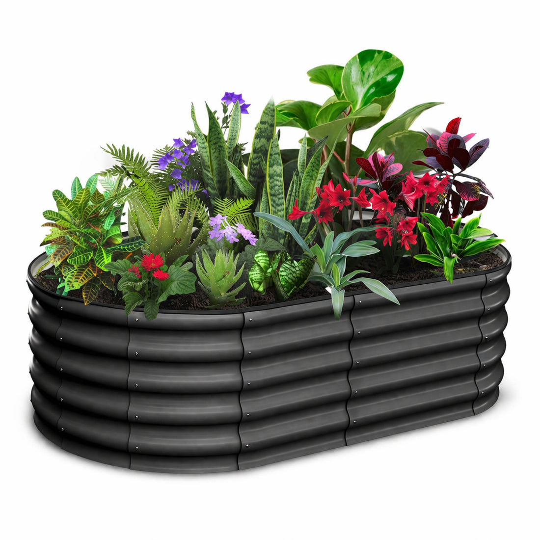 Garvee Jardinière surélevée en métal galvanisé polyvalente 8x2x1FT Ovale et rectangulaire grise pour cultiver des légumes, des fleurs et des herbes en extérieur