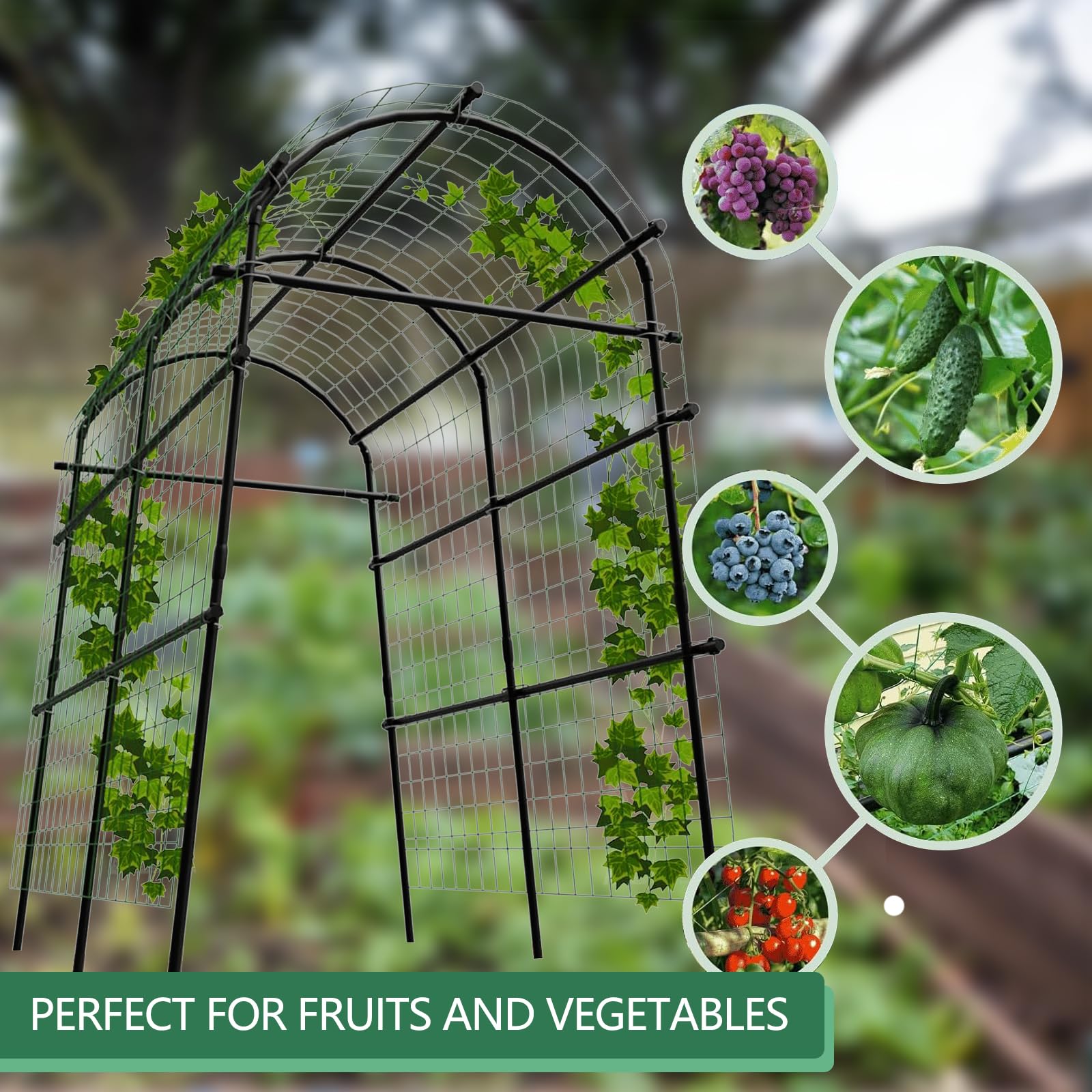 garden arch trellis for fruits vegetables and climbing plants