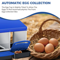 PPG_344AXU6A