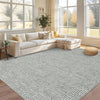 Garvee Area Rugs 5x7 Ft, Washable Living Room Rugs Boho Non-Slip Dining Room Rug Soft Ultra Thin Waffle Print Bedroom Rugs Indoor Floor Carpet for Living Room Bedroom Dining Room, Light Grey