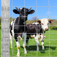 Garvee 9GA Thickened Heavy Duty Cattle Farm Fence, Galvanized Goat Deer Fence, 4ft x 164ft, Silver