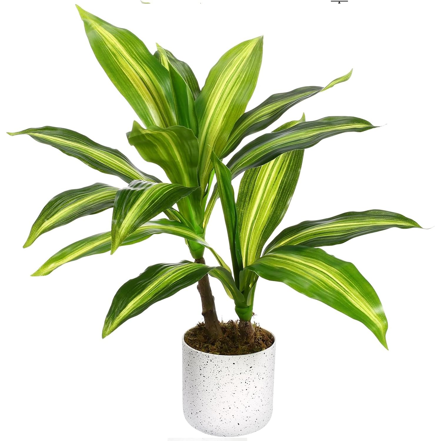 PHK_36FKYP4M